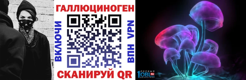 Псилоцибиновые грибы Psilocybe  Кстово 